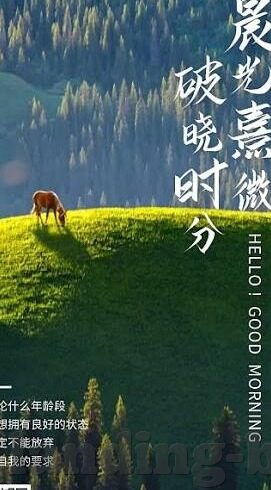 足球比分网欧冠-欧冠烽火连天时，足球比分网成球迷情报中枢