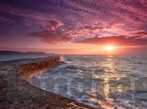 足球比分直播预测-足球比分直播预测,科学还是玄学?揭秘背后的数据逻辑与实战技巧